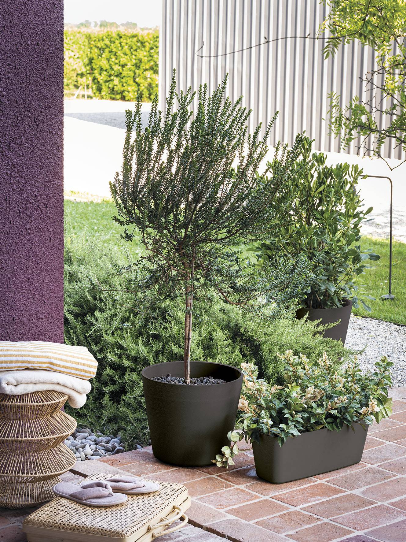 Deroma - Pot Vaso Origin Grigio – DEROMA