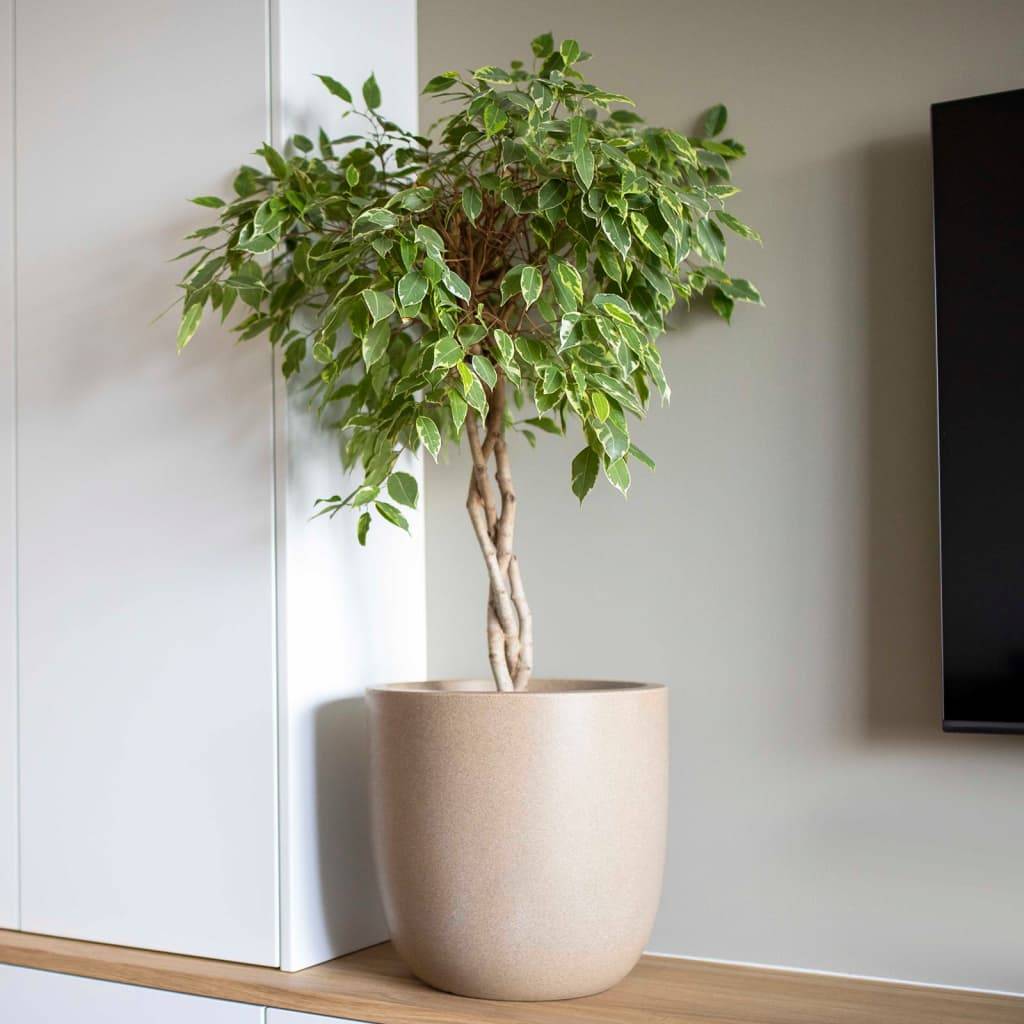 Pot de fleur Waste Smooth polyéthylène beige terrazzo Ø43 H.41 cm - Capi - Imagen 4