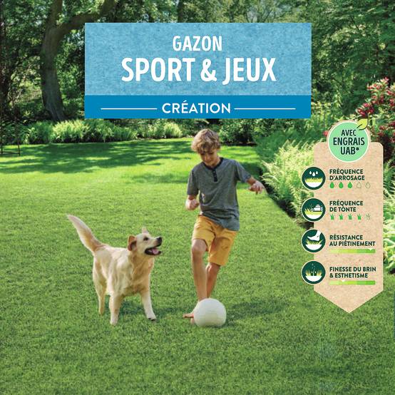 Ecloz - Semences de gazon - Sport & jeux 2,5 kg - ECLOZ - Image 9