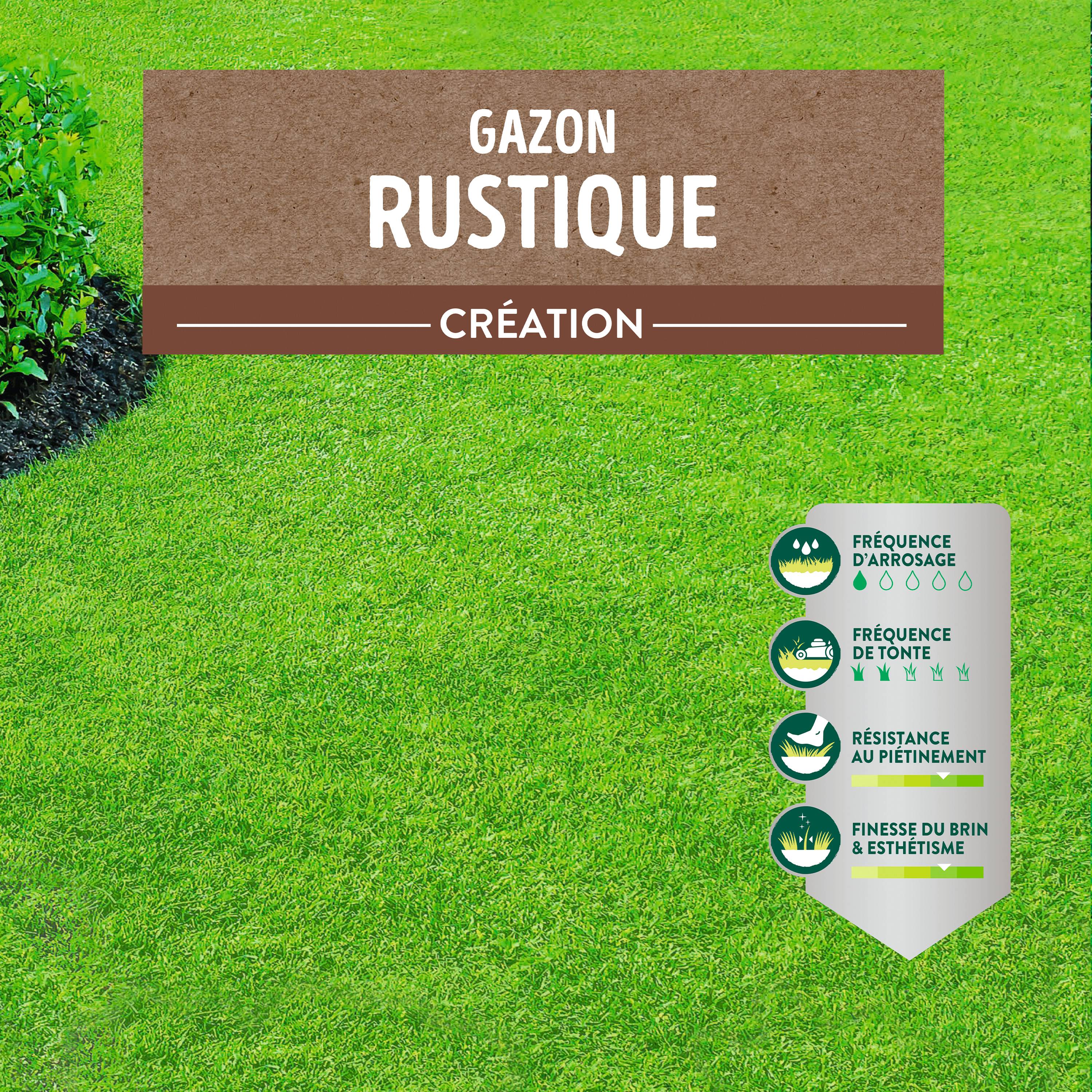 Ecloz - Semences de gazon - Rustique EXPERT 10 kg - ECLOZ - Image 5
