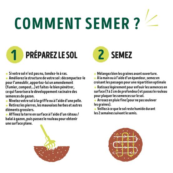 Ecloz - Semences de gazon - Sport & jeux 5 kg - ECLOZ - Image 7