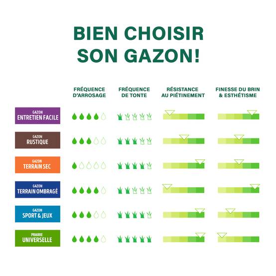 Ecloz - Semences de gazon - Sport & jeux 5 kg - ECLOZ - Image 3