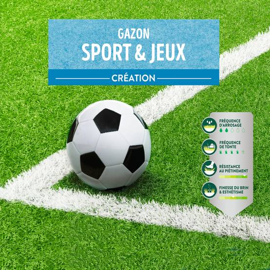 Ecloz - Semences de gazon - Sport & jeux EXPERT 10 kg - ECLOZ - Image 6