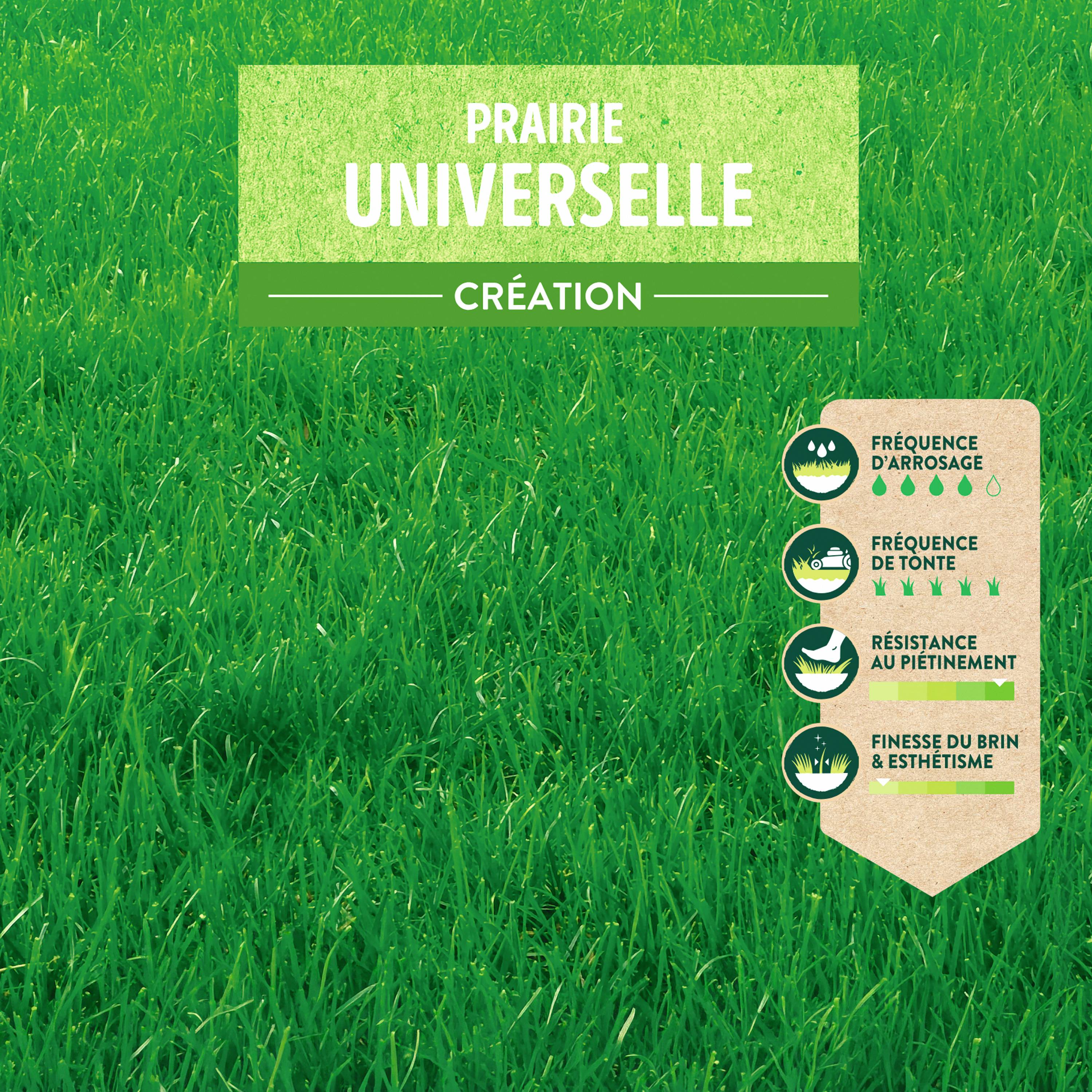 Ecloz - Semences de gazon - Prairie universelle 5 kg - ECLOZ - Image 7