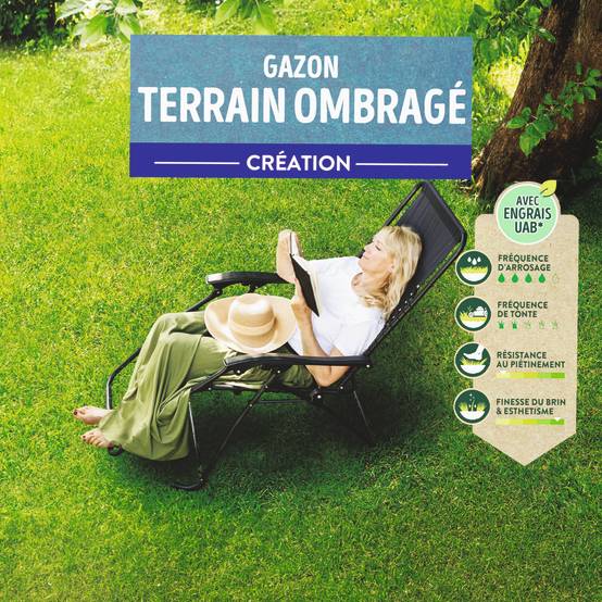 Ecloz - Semences de gazon - Terrain ombragé 2,5 kg - ECLOZ - Image 7