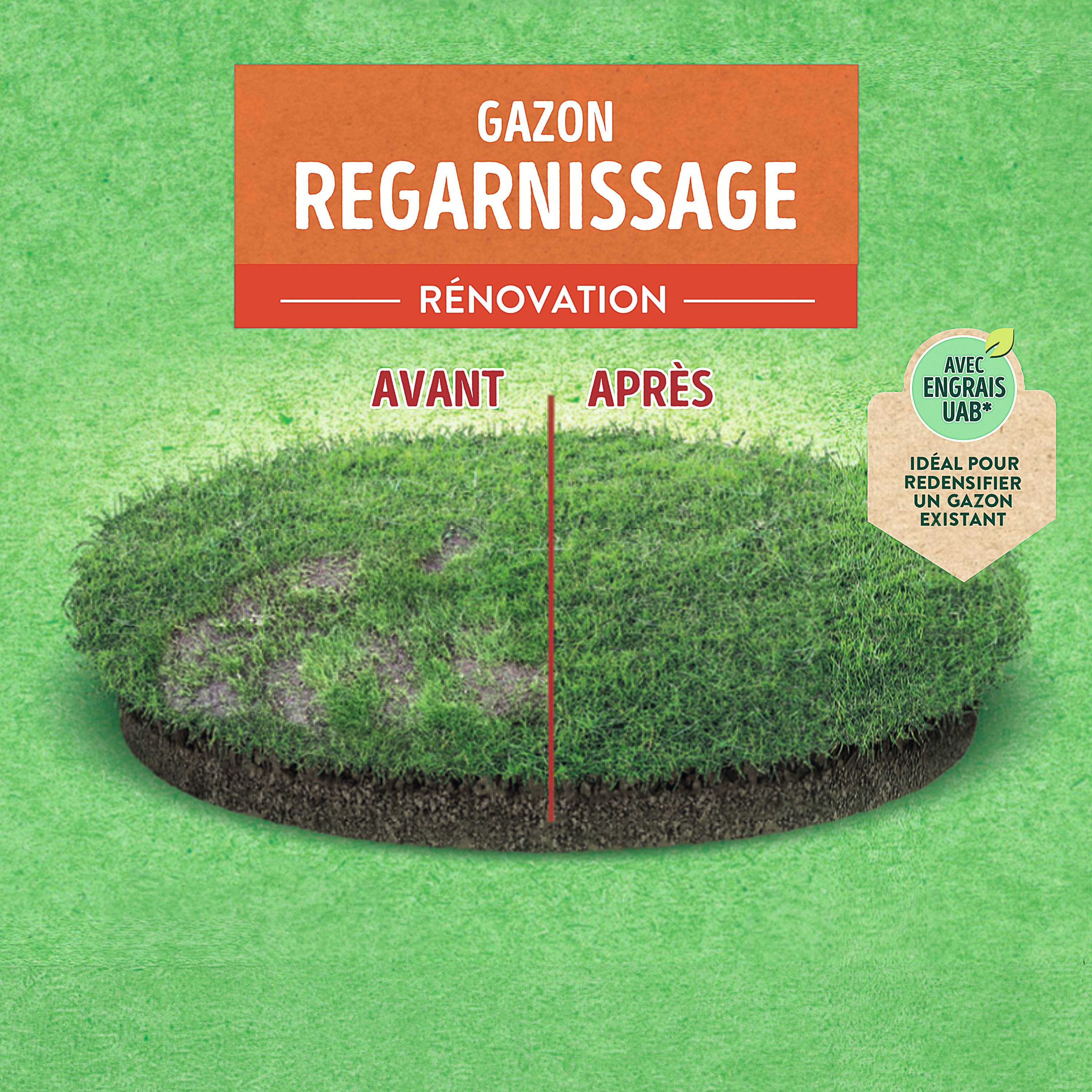 Ecloz - Semences de gazon - Regarnissage 1 kg - ECLOZ - Image 7