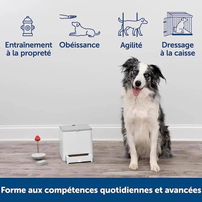 Distributeur de friandises télécommandé transparent L.2700.0 cm l.29.0 cm H.28.0 cm - Petsafe - Image 4