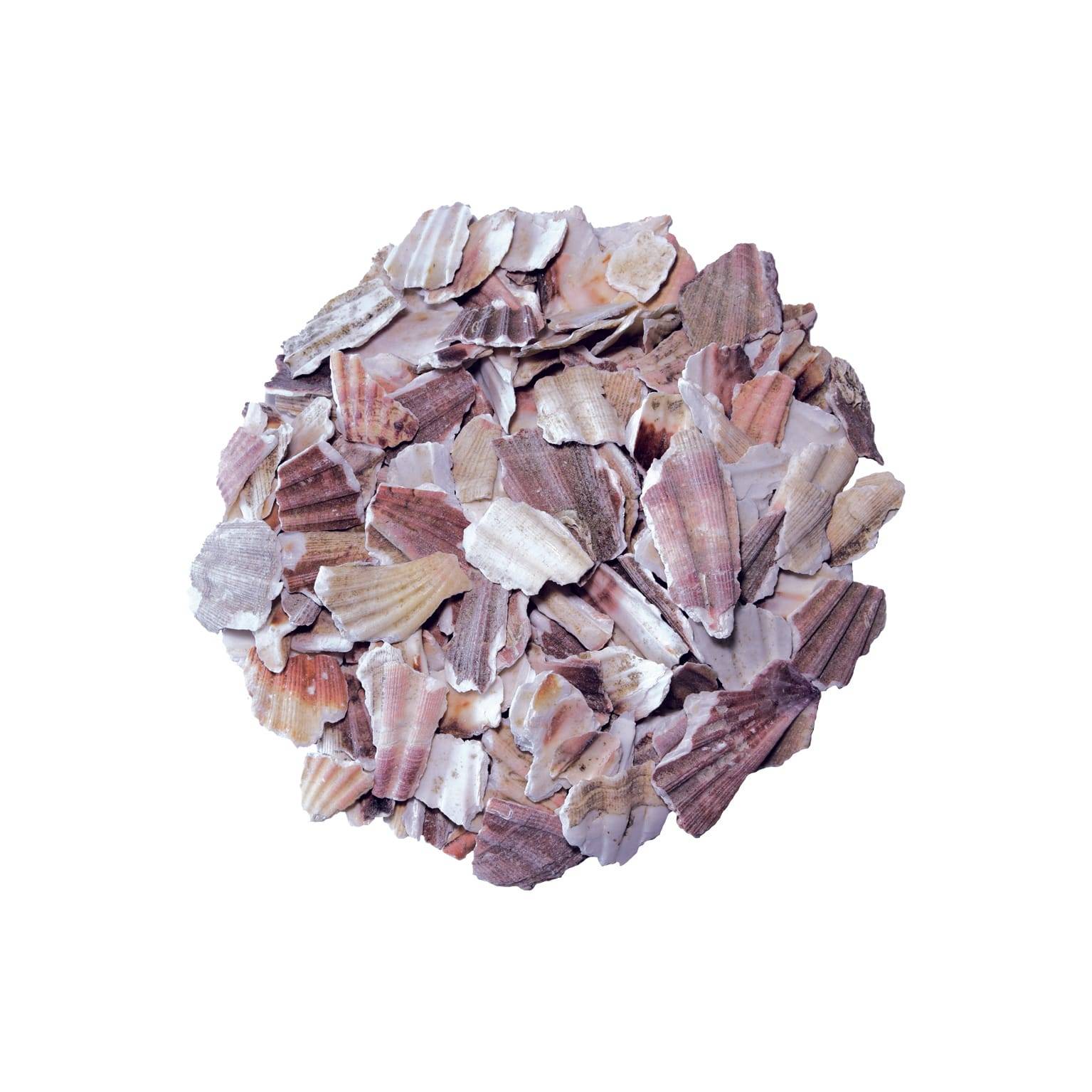 SAC 9KG PETALE COQUILLE SAINT JACQUES 20/50 - Imagen 6