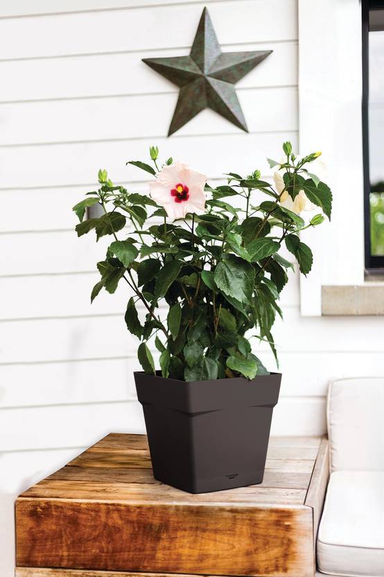 Pot carré polypropylène anthracite 25 cm TOSCANE – EDA - Image 2