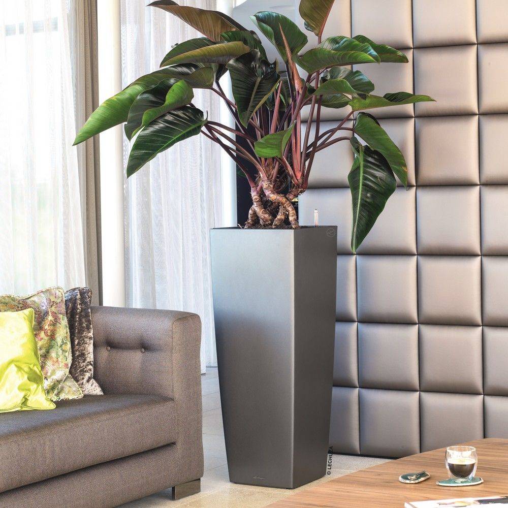 Lechuza - Jardinière Cubico Alto Premium 40 Plastique Charbon Métallisé 40 x 40 x 105 cm - LECHUZA - Image 1