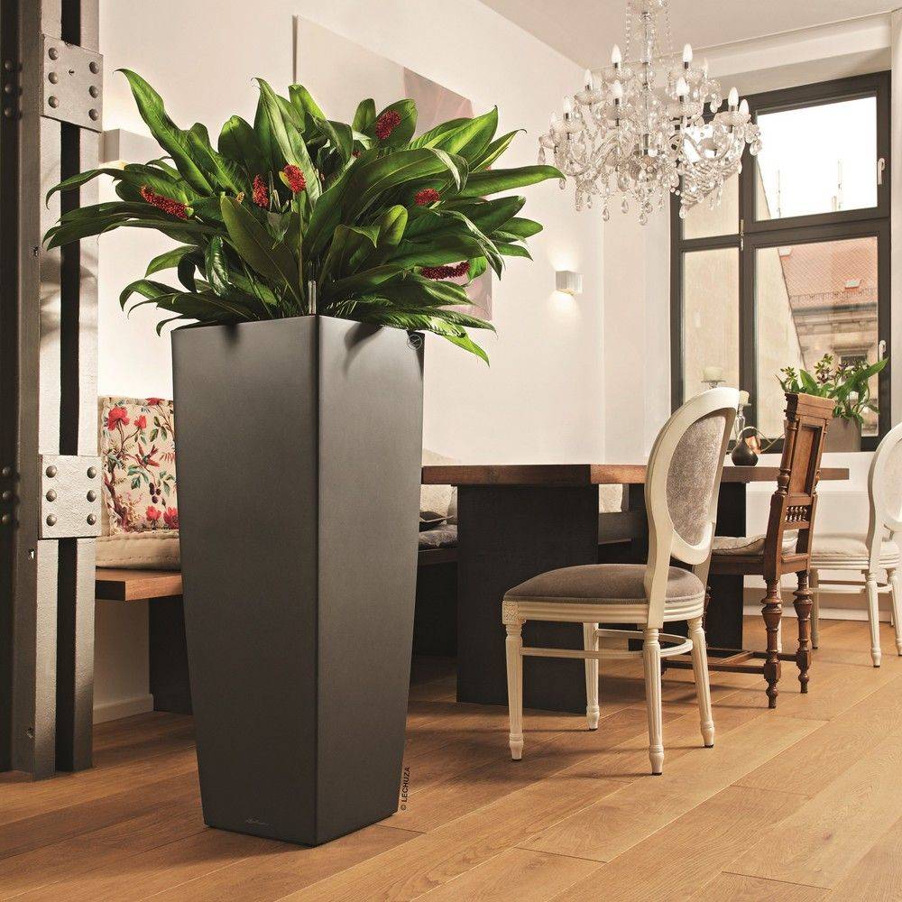 Lechuza - Jardinière Cubico Alto Premium 40 Plastique Charbon Métallisé 40 x 40 x 105 cm - LECHUZA - Image 5