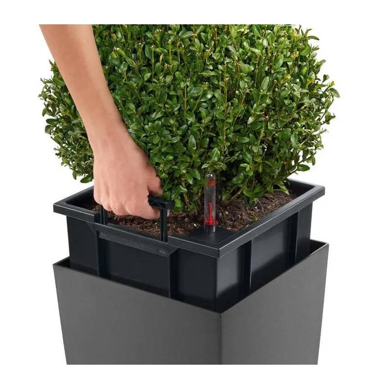 Lechuza - Jardinière Cubico Alto Premium 40 Plastique Charbon Métallisé 40 x 40 x 105 cm - LECHUZA - Image 6