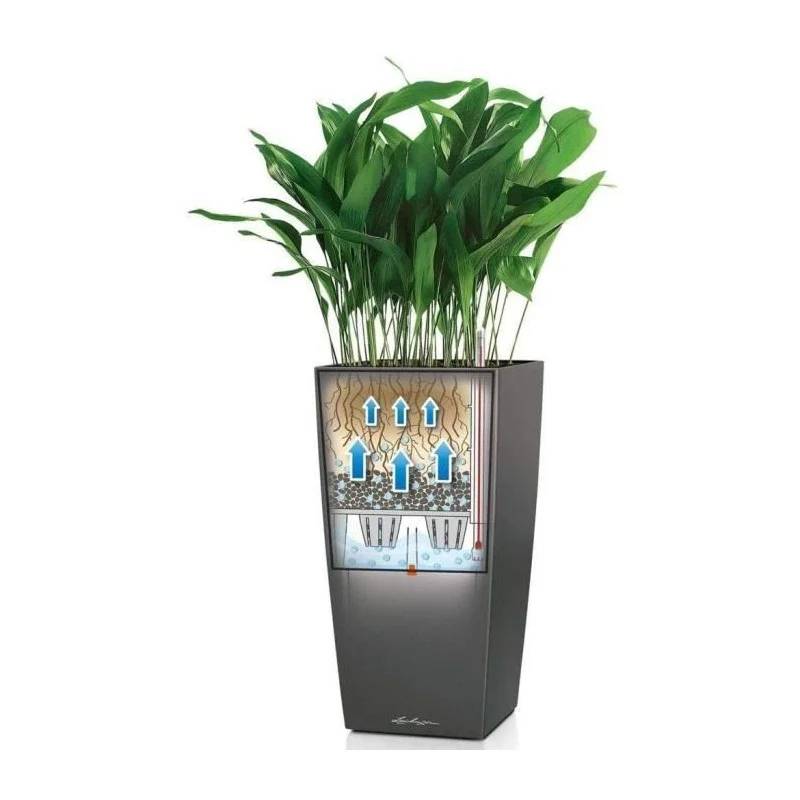 Lechuza - Jardinière Cubico Alto Premium 40 Plastique Charbon Métallisé 40 x 40 x 105 cm - LECHUZA - Image 11