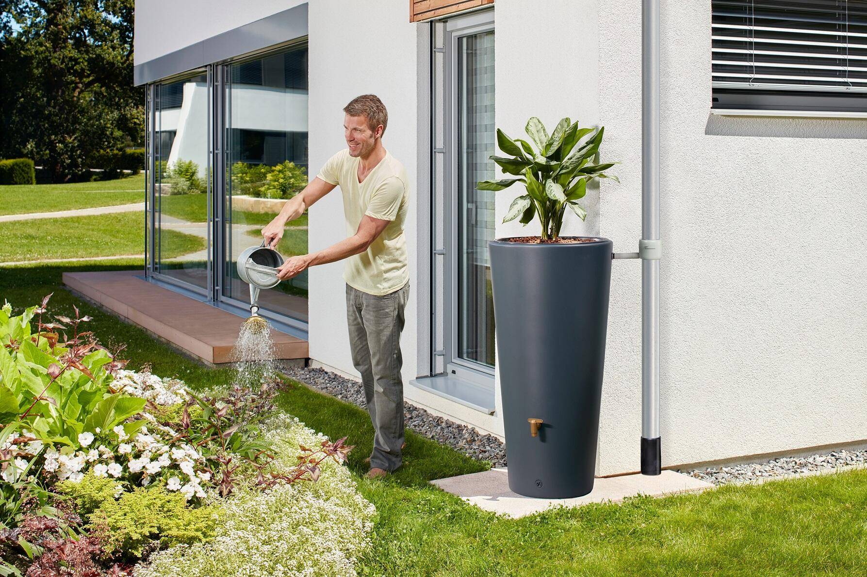Graf - Récupérateur d'eau de pluie 220L mural robinet et collecteur inclus 2en1 gris graphite Vaso - GRAF