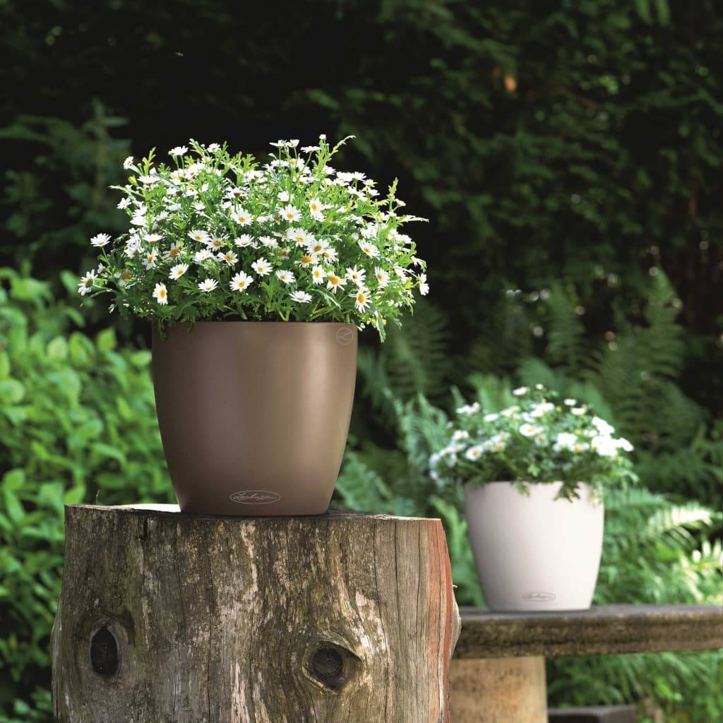 Pot de jardinage muscade - LECHUZA - Image 2