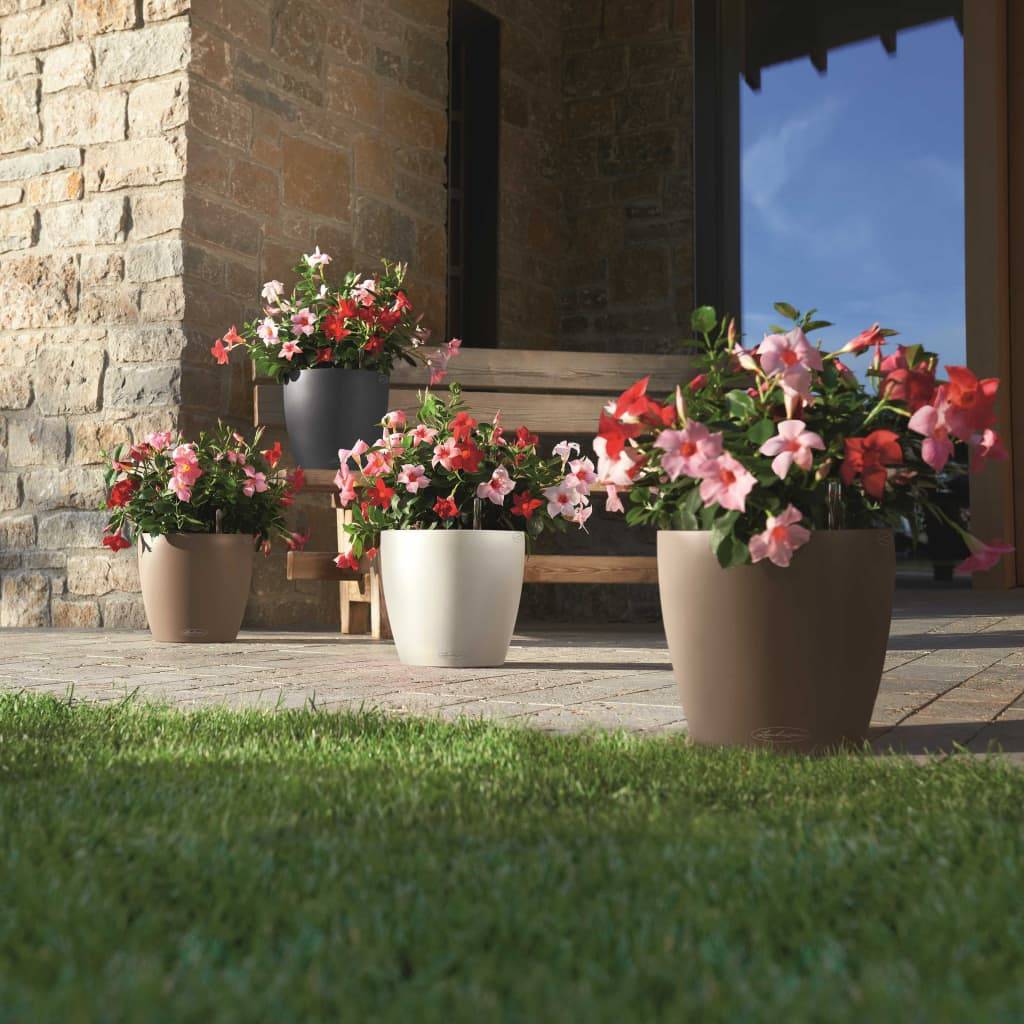 Pot de jardinage muscade - LECHUZA - Image 6