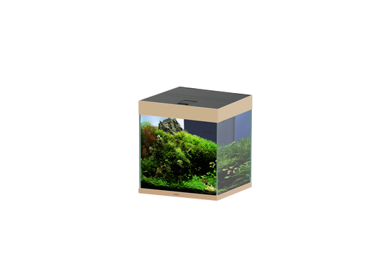 Ciano - CIANO AQUARIUM - EMOTION PRO 40 MYSTIC