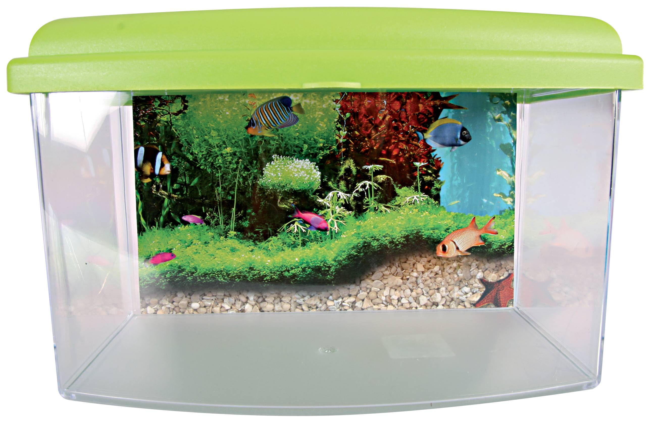 Aquarium Travel Box II plastique transparent 4,5 L 22 cm – ZOLUX - Imagen 3
