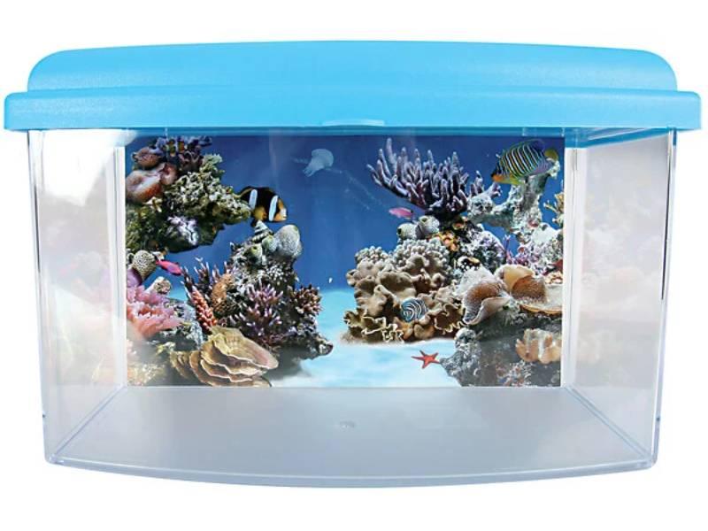Aquarium Travel Box II plastique transparent 4,5 L 22 cm – ZOLUX - Imagen 2