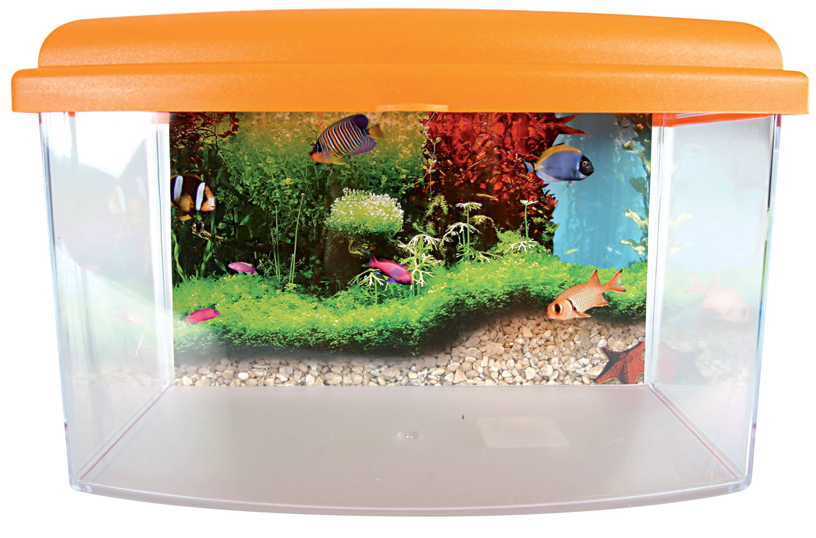 Aquarium Travel Box II plastique transparent 4,5 L 22 cm – ZOLUX - Imagen 4