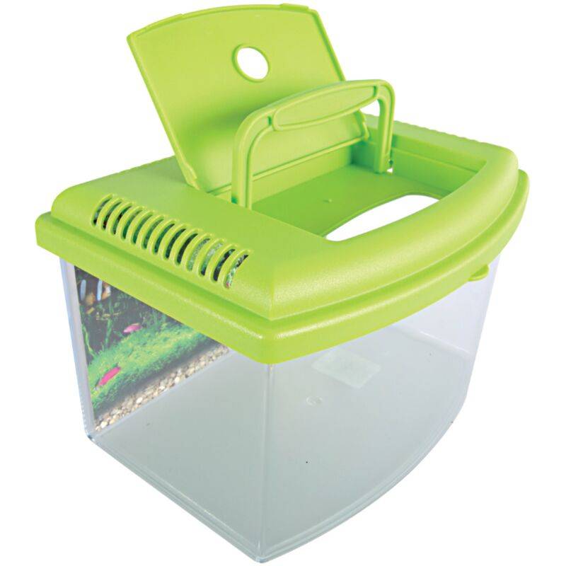 Aquarium Travel Box II plastique transparent 4,5 L 22 cm – ZOLUX - Imagen 6