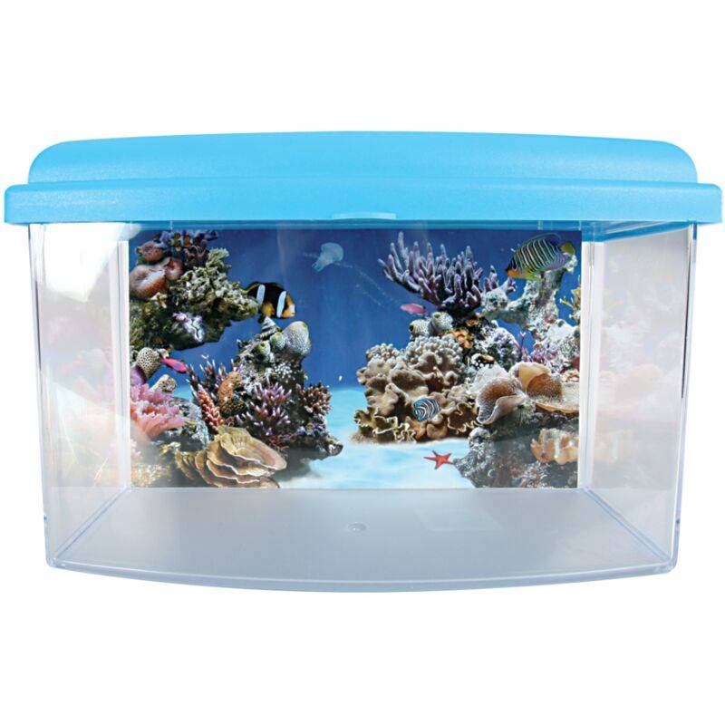 Aquarium Travel Box II plastique transparent 4,5 L 22 cm – ZOLUX - Imagen 5