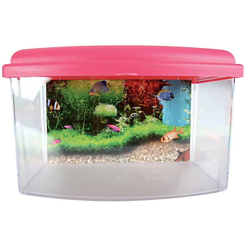 Boîte de transport aquarium plastique medium 9,5 L – ZOLUX - Image 1