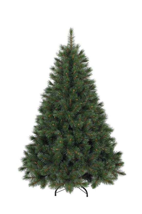 Ecloz - Sapin Huez H.300 cm - ECLOZ - Image 1
