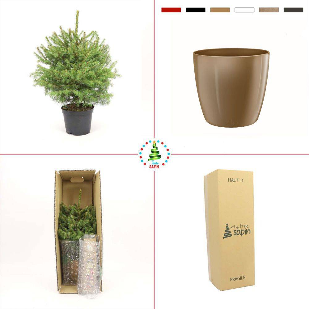 Naudet Sapin - Petit sapin de Noël SIMPLEMENT CHOU H.50-75 cm - Image 3