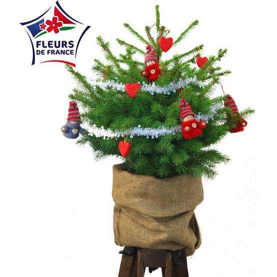 Naudet Sapin - Petit sapin de Noël CHOUPINOU H.50-75 cm - Image 1