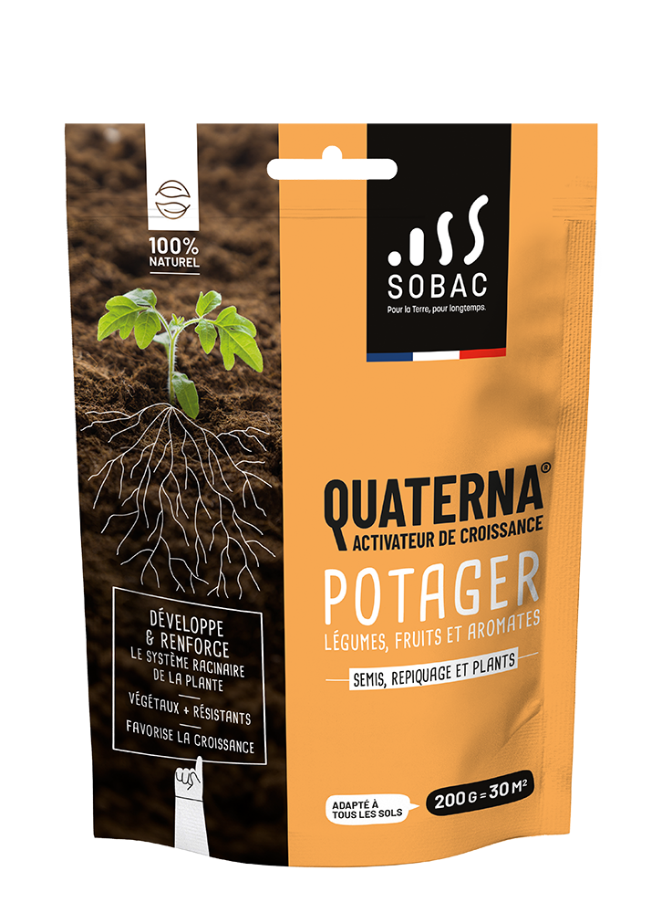 Activateur de Croissance Racinaire Quaterna potager 200 g