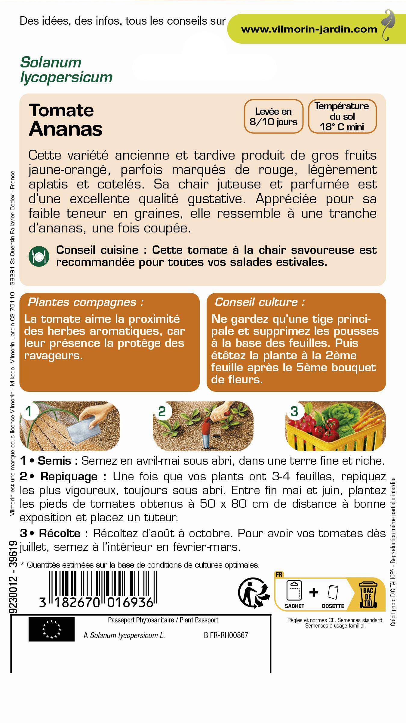 Vilmorin - Tomate Ananas serie 2 sachet graines 0,2 g - Vilmorin - Image 2