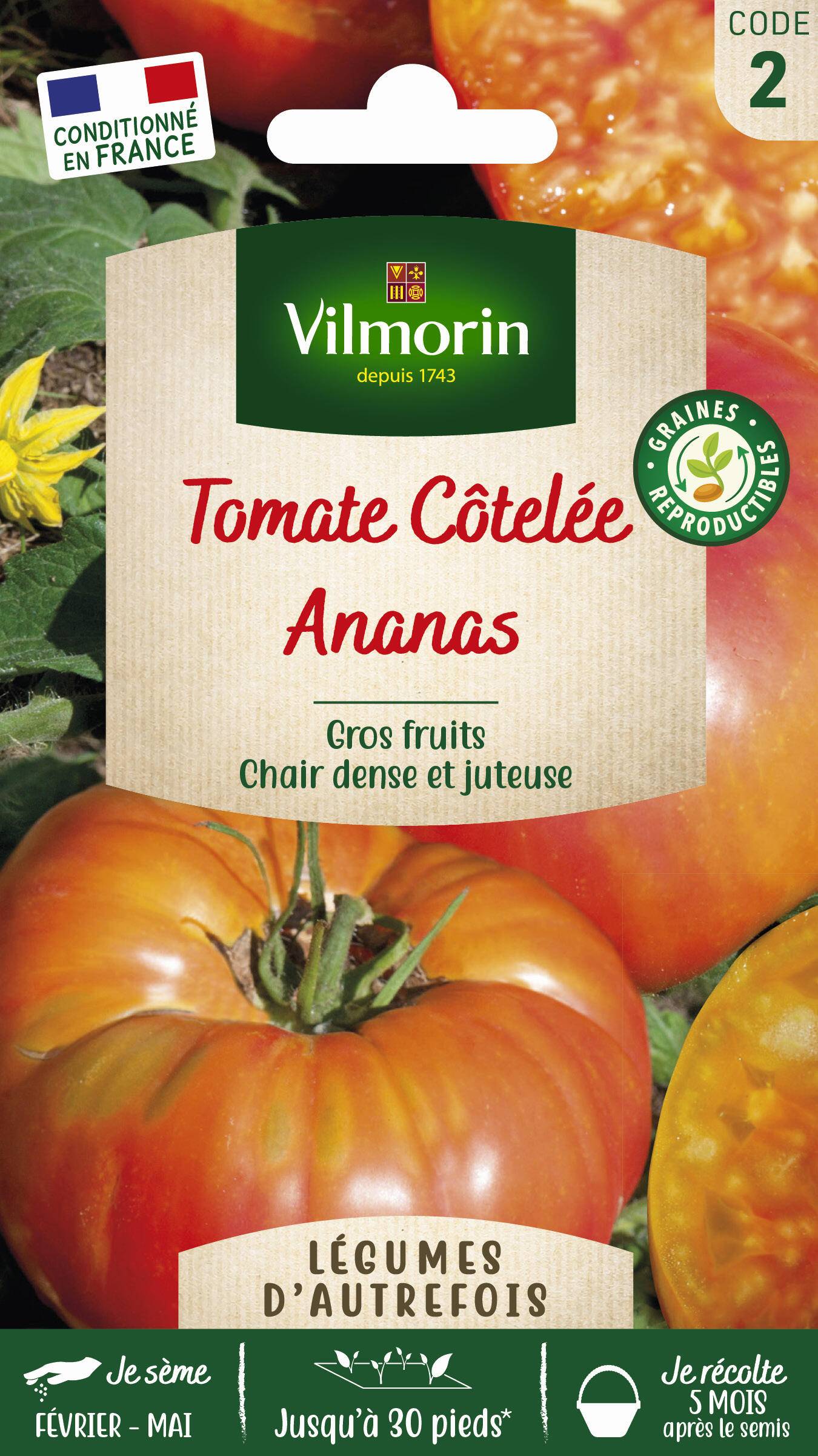 Vilmorin - Tomate Ananas serie 2 sachet graines 0,2 g - Vilmorin - Image 1