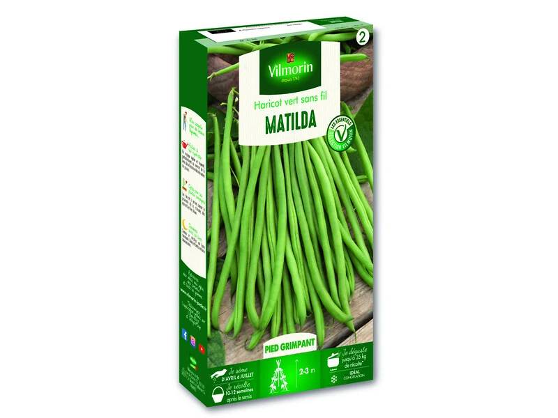Vilmorin - Haricot Matilda serie 2 boîte graines 140 g - Vilmorin - Image 2