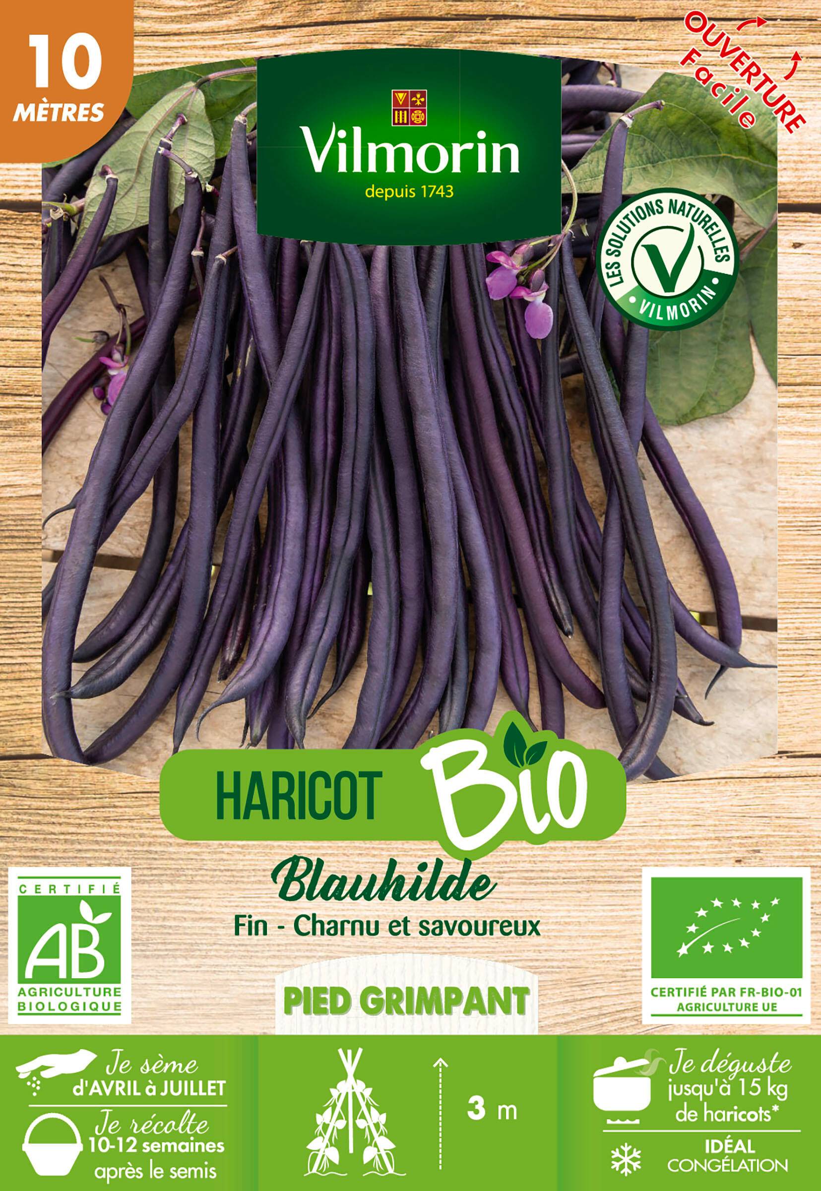 Vilmorin - Haricot Blauhilde Bio série 10M sachet graines 68 g - Vilmorin - Image 2