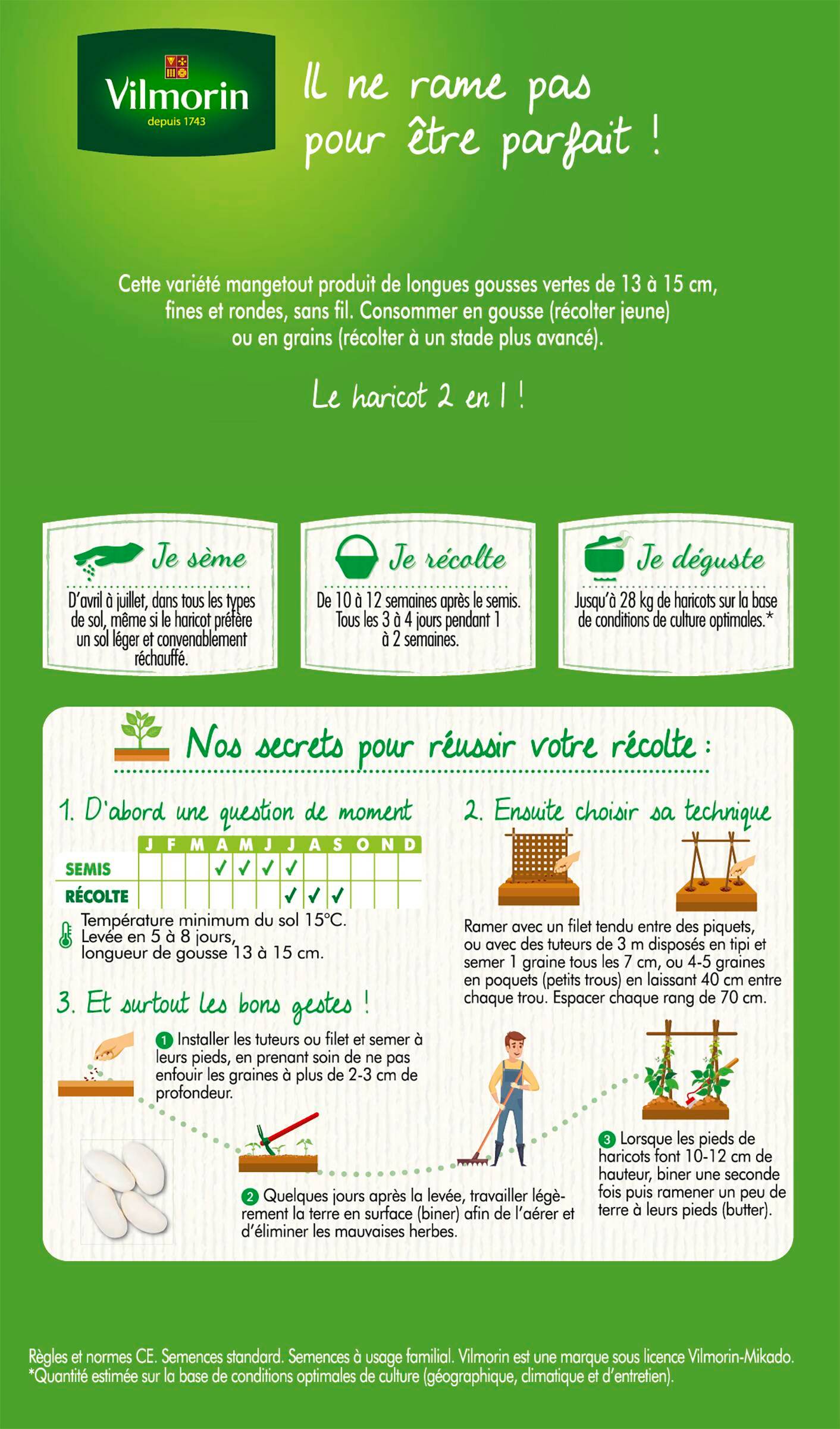 Vilmorin - Haricot blanc de juillet rames vert perfection blanc série 1 sachet graines 110 g - Vilmorin - Image 2