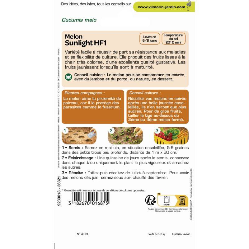Vilmorin - Melon Sunlight HF1 serie 3 sachet graines 0,5 g - Vilmorin - Image 3