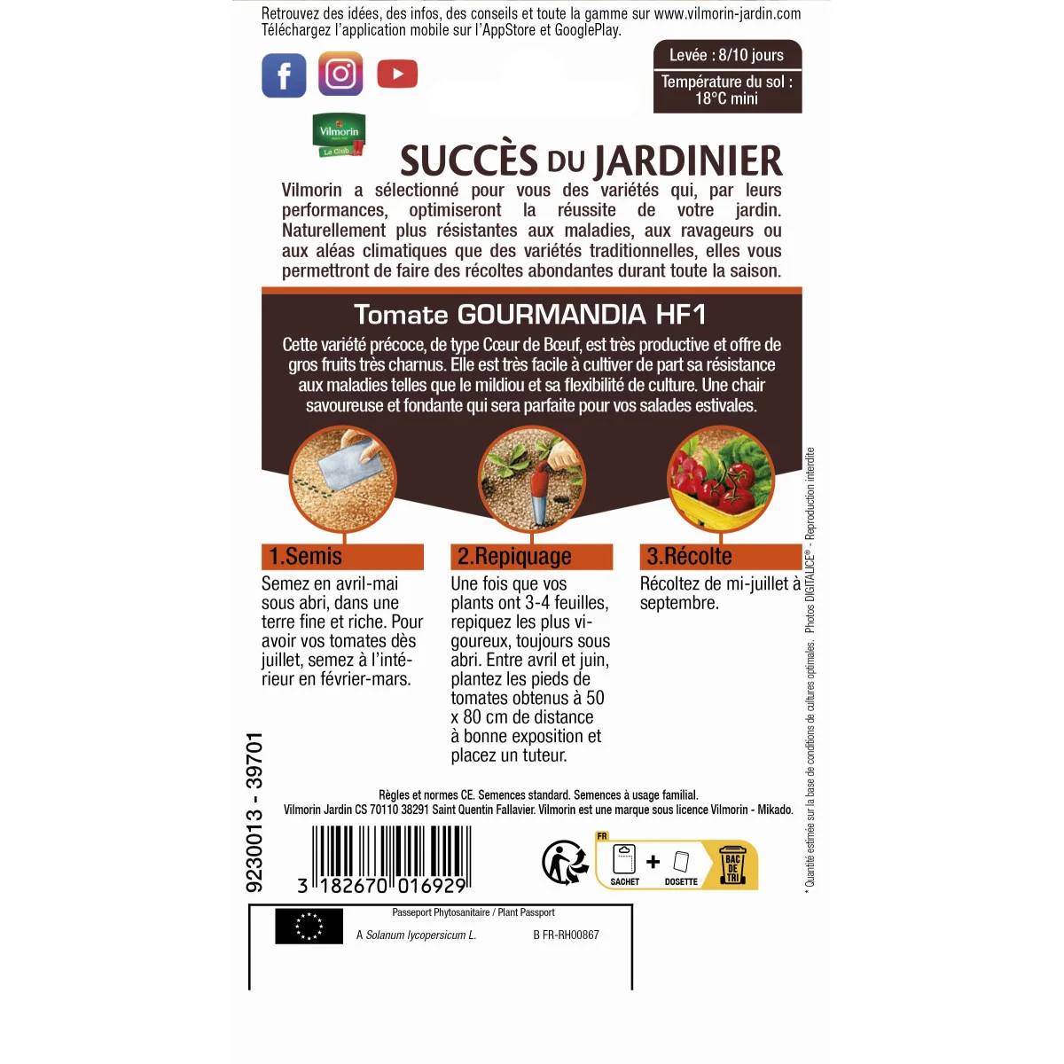 Vilmorin - Tomate Gourmandia HF1 serie 3 sachet graines 0,07 g - Vilmorin - Image 4