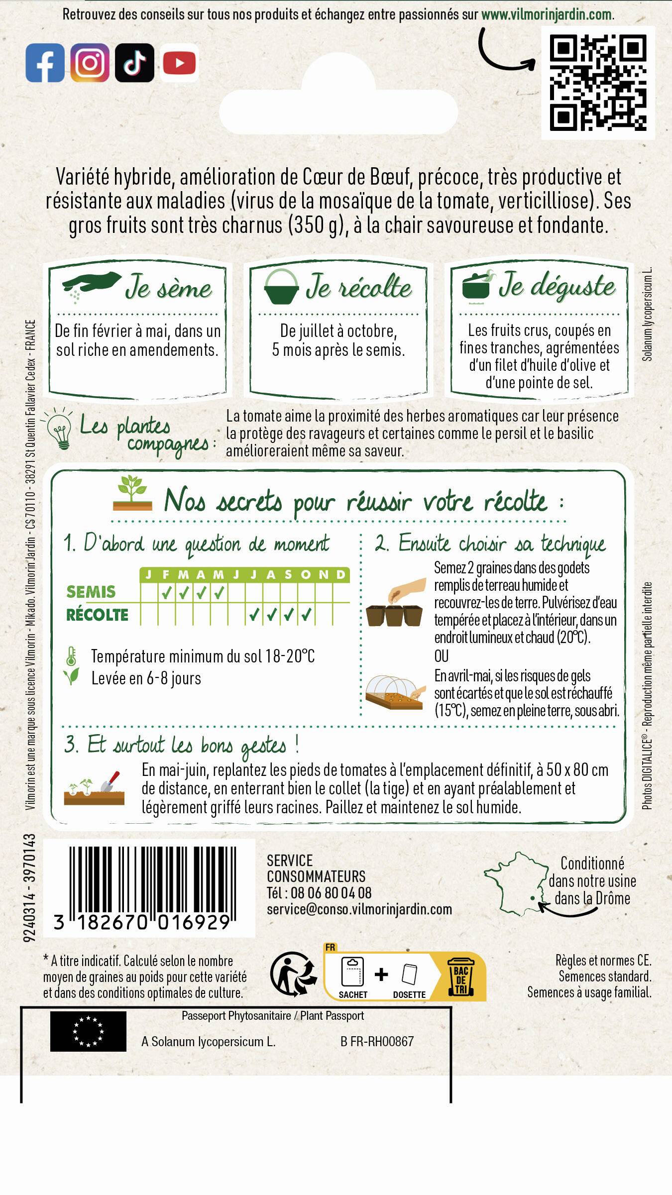 Vilmorin - Tomate Gourmandia HF1 serie 3 sachet graines 0,07 g - Vilmorin - Image 3