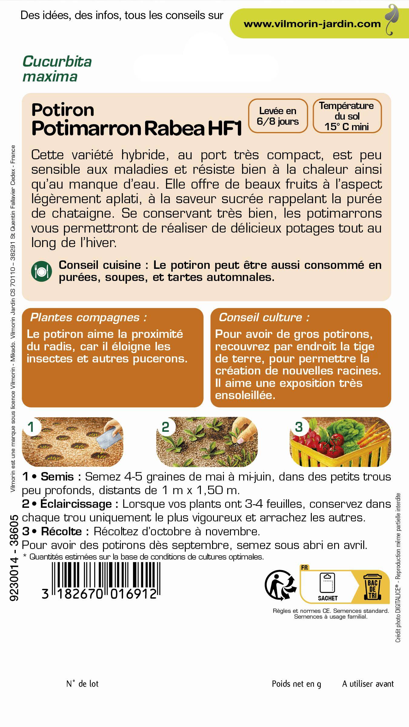 Vilmorin - Potiron Potimarron serie 3 sachet graines 2 g - Vilmorin - Image 2