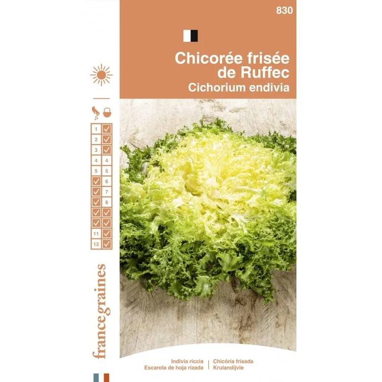 France Graines - Chicorée frisée de Ruffec serie 1 sachet graines 3 g - France Graines - Image 1