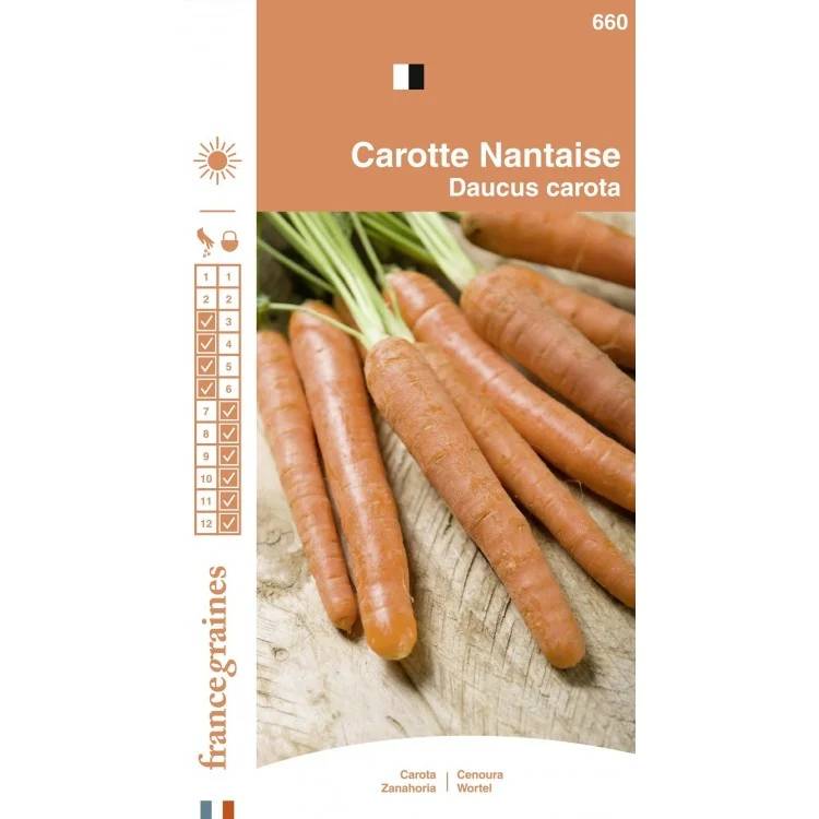 France Graines - Carotte nantaise serie 1 sachet graines 3 g - France Graines - Image 1