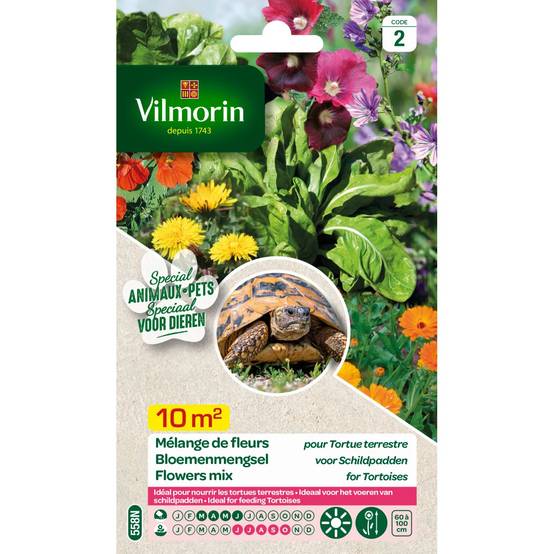 Vilmorin - Mélange de fleurs pour Tortues Terrestres serie 2 sachet graines 12 g - Vilmorin - Image 4