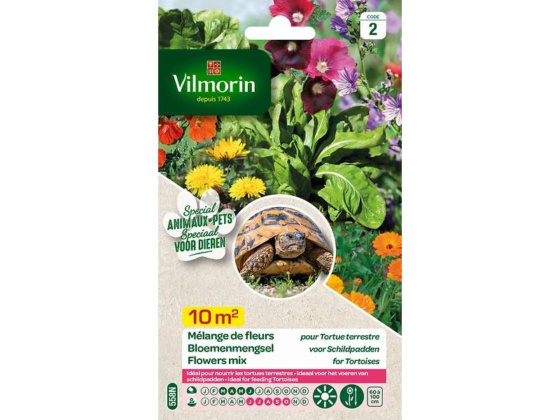 Vilmorin - Mélange de fleurs pour Tortues Terrestres serie 2 sachet graines 12 g - Vilmorin - Image 8