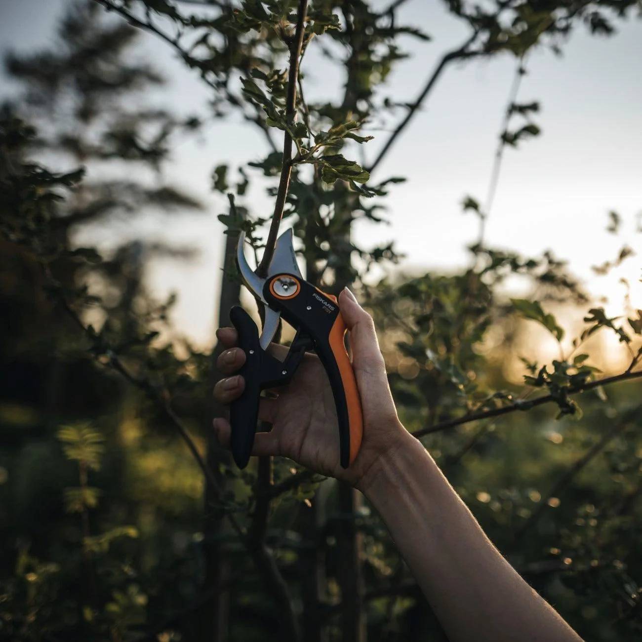 Sécateur Plus PowerLever P721 Ø 24 mm - FISKARS - Image 2