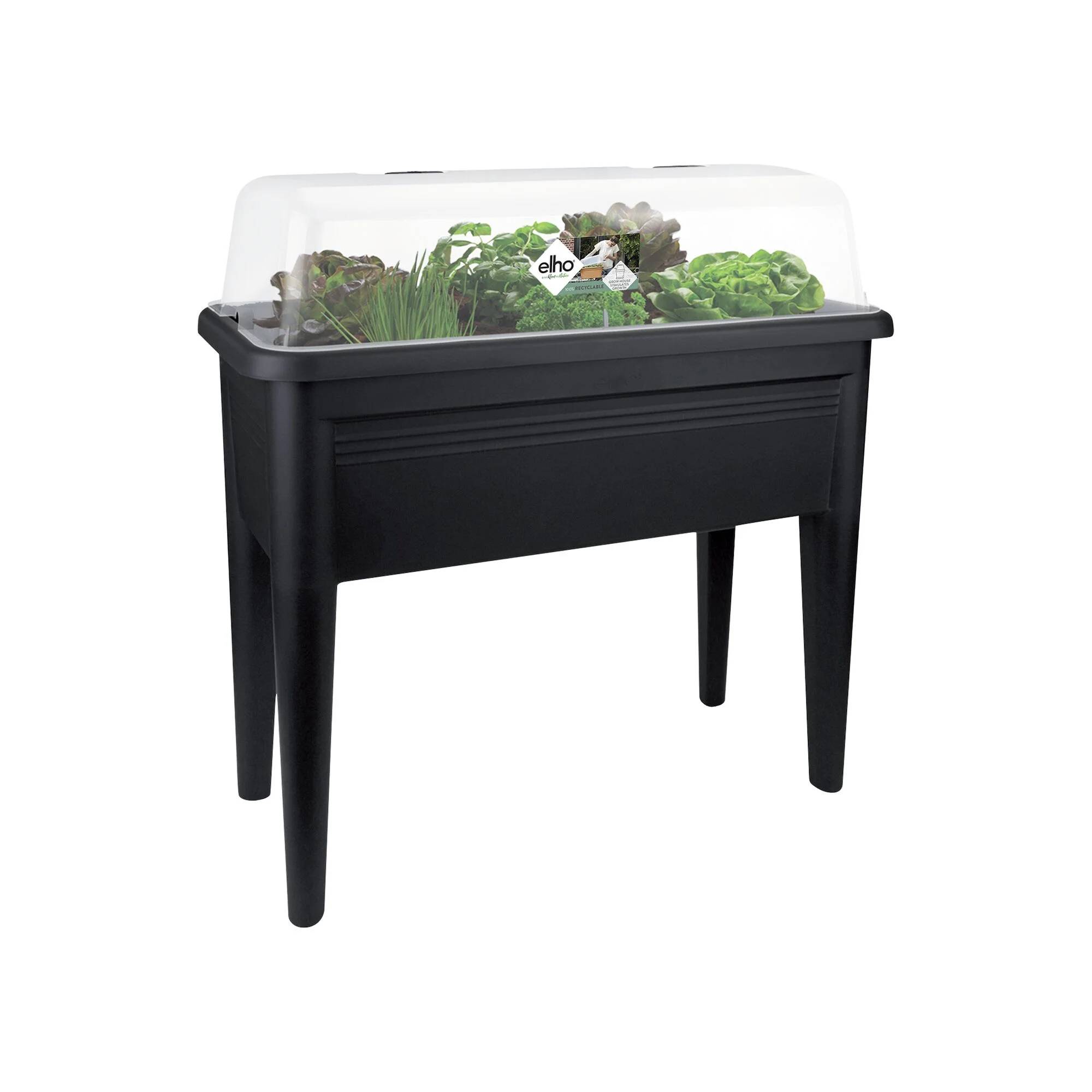 Serre de culture XXL rectangulaire plastique transparent L.75 cm l.36 cm H.20.3 cm - Elho - Imagen 6