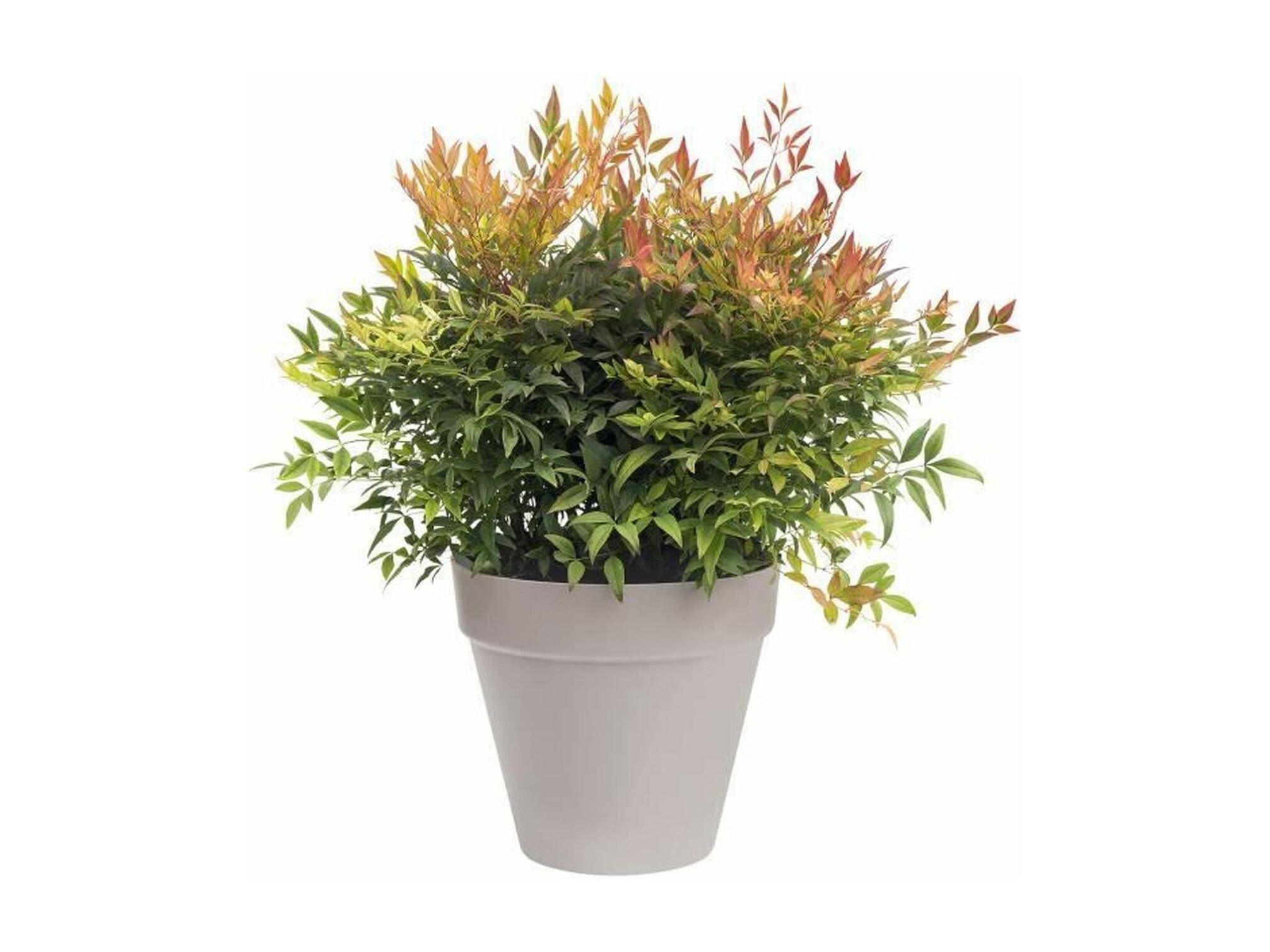 Pot de fleurs rond Loft Urban plastique anthracite Ø 50 x H.44 cm - Elho - Imagen 4