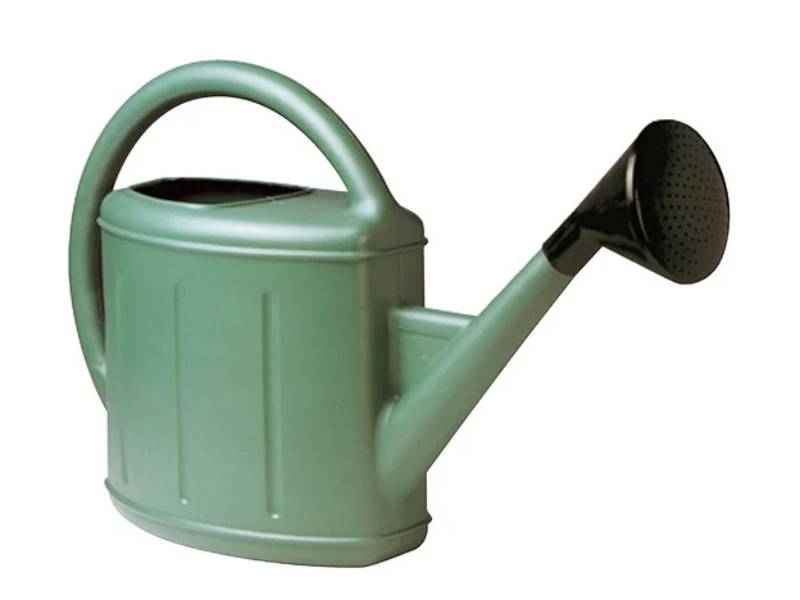 Regadera lionesa metal verde 11L - EDA - Imagen 2