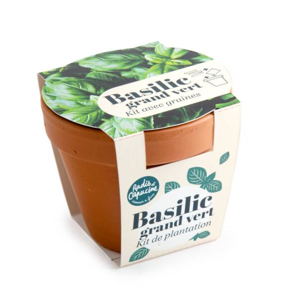 Radis et Capucine - Pot Terre cuite Antique - Basilic grand vert - Bio - Radis et Capucine - Image 2
