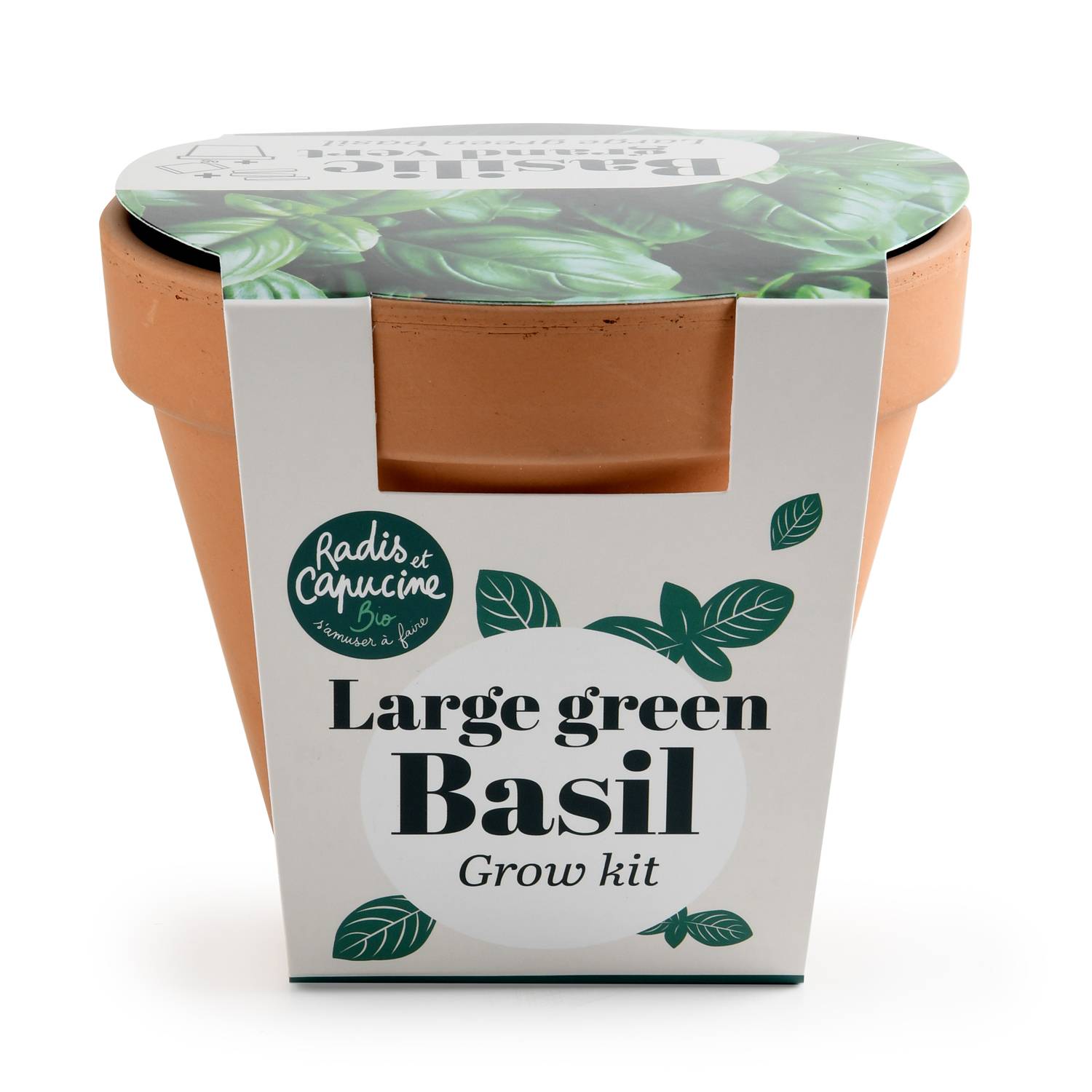 Radis et Capucine - Pot Terre cuite Antique - Basilic grand vert - Bio - Radis et Capucine - Image 1